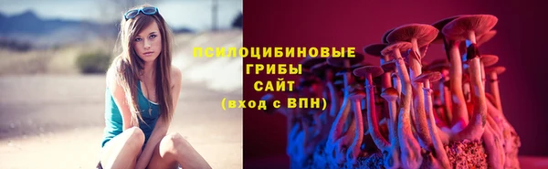 apvp Навашино