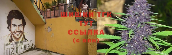 apvp Навашино