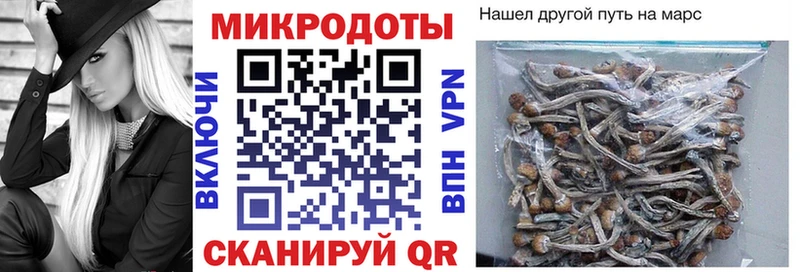Галлюциногенные грибы GOLDEN TEACHER Терек